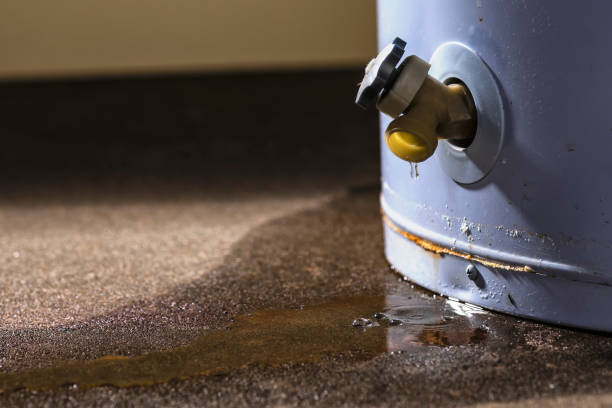Best Basement water damage restoration  in Saybrook On The Lake, OH