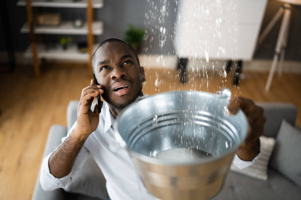 Best Water damage cleanup near me  in Saybrook On The Lake, OH