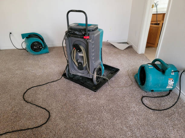 Best Mold removal after water damage  in Saybrook On The Lake, OH