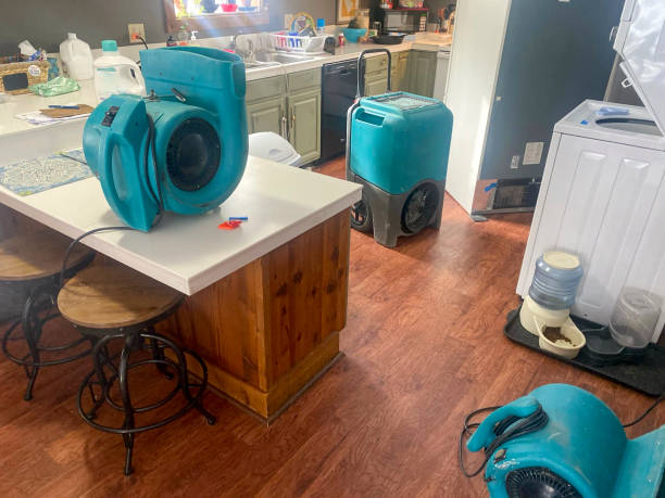  Saybrook On The Lake, OH Water damage restoration Pros