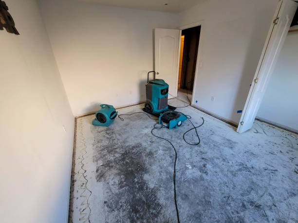 Best Water damage restoration mold remediation  in Saybrook On The Lake, OH