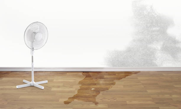 Best Local water damage restoration  in Saybrook On The Lake, OH