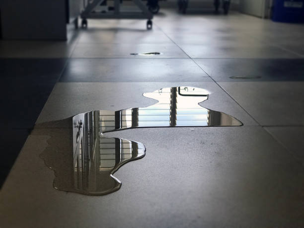 Best Water damage restoration specialists  in Saybrook On The Lake, OH