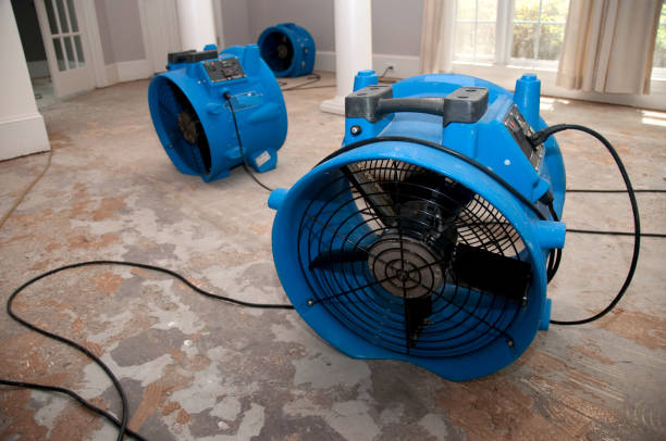 Best Carpet water damage restoration  in Saybrook On The Lake, OH