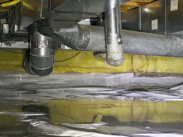 Best Water damage restoration near me  in Saybrook On The Lake, OH