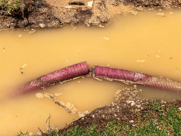 Best Flood damage cleanup  in Saybrook On The Lake, OH